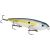 Strike King Oberflächenköder KVD Sexy Dawg 11.5 cm